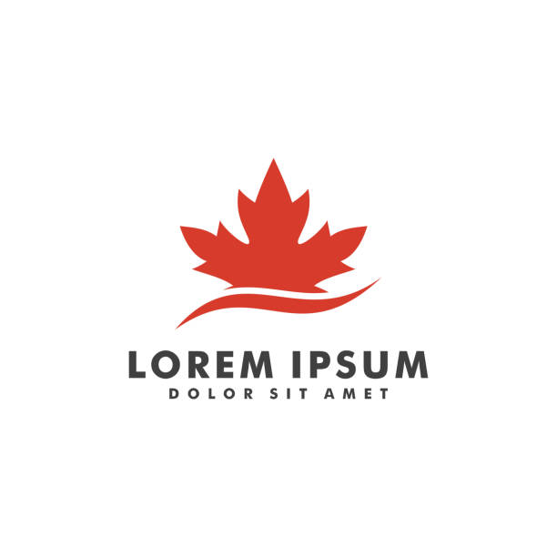 кленовый лист логотип дизайн вектор иллюстрации шаблон - maple leaf leaf autumn single object stock illustrations