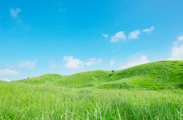 日本の阿蘇の風景 - 草地 ストックフォトと画像