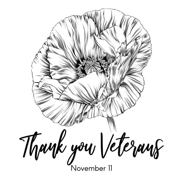 ilustraciones, imágenes clip art, dibujos animados e iconos de stock de homenaje a veteranos o al día del recuerdo con ilustración vectorial de boceto de tinta de amapola - poppy corn poppy remembrance day single flower