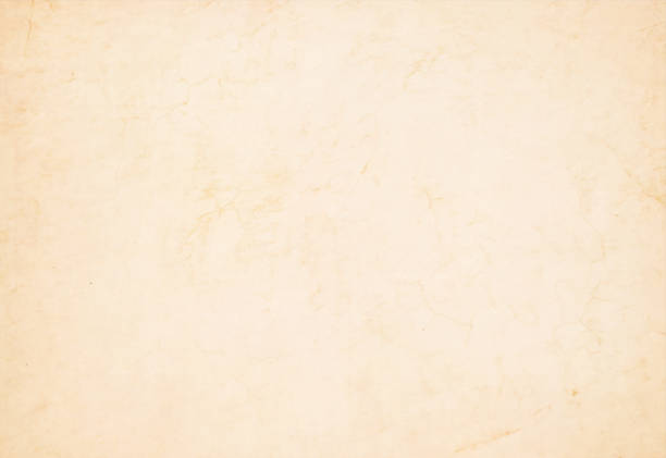 marmor strukturierte helle beige vintage papier vektor-illustration - parchment backgrounds paper distressed stock-grafiken, -clipart, -cartoons und -symbole