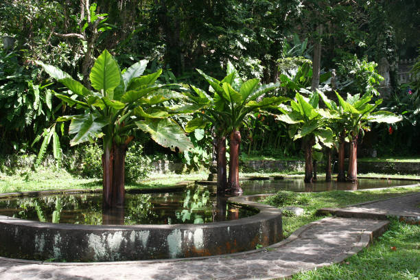 istock Tirta Gangga Park 1186234028