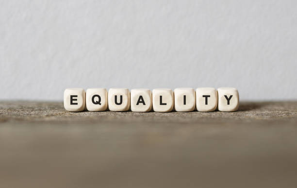 istock Word EQUALITY made with wood building blocks 1186234041