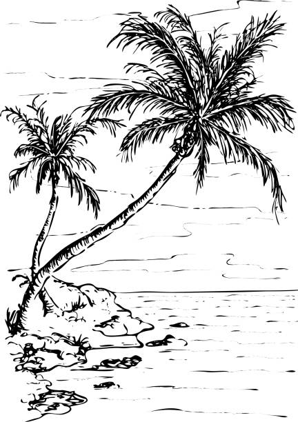 Vector landscape with two tropical palm trees on the island Vector landscape with two tropical palm trees on the island, black silhouettes isolated on white background. Coastline, beach and sea. Sketch design, outline style drawing. drawing of the hawaii islands stock illustrations