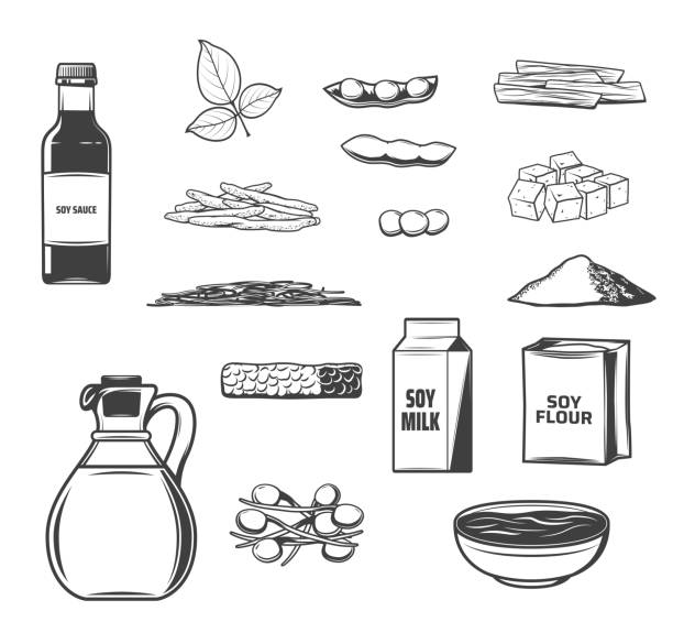 соевые бобы, молоко, тофу, масло и темпе эскизы - soybean merchandise soy milk milk stock illustrations
