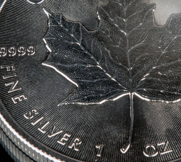 istock 1-oz Silver Bullion Coin close up 1186248381