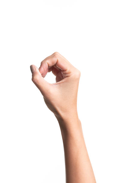 istock Girl hands gesture isolated on white 1186248466