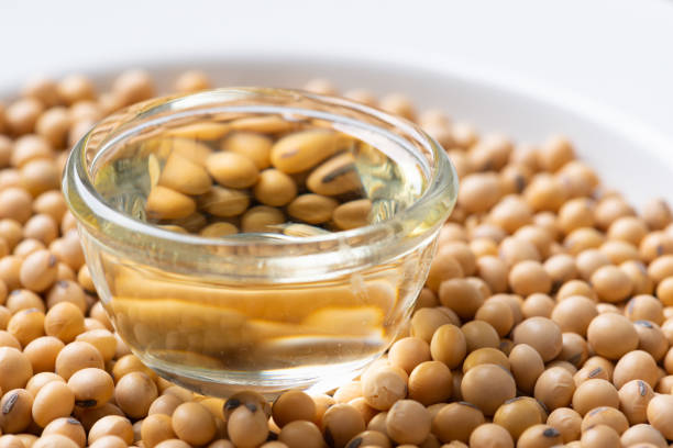 istock Soy bean and soy oil on  table 1186248471