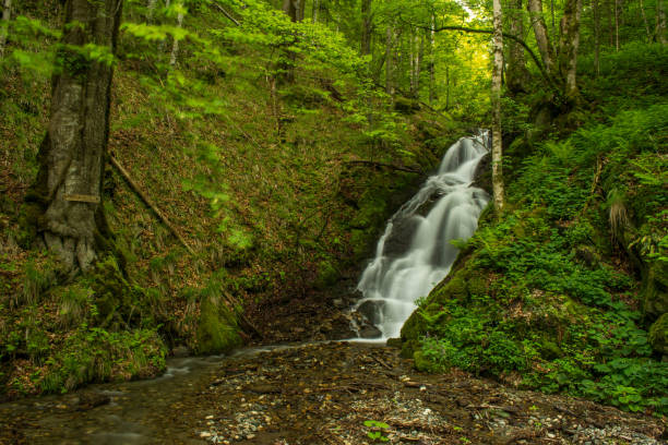 istock Mountain waterfall named 