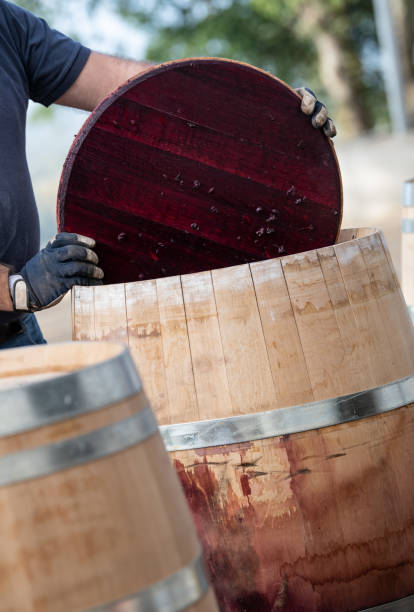 istock Wine mixing during fermentation process in barrel, Bordeaux Vineyard 1186252310