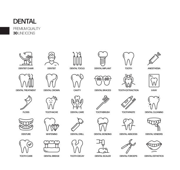 stockillustraties, clipart, cartoons en iconen met eenvoudige set van tandheelkundige gerelateerde vector lijn iconen. outline symbol-collectie - tandartsapparatuur illustraties