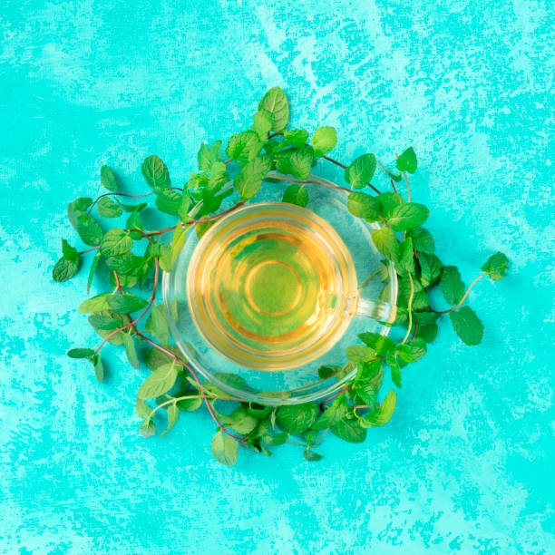 istock Mint tea cup, square top shot on a blue background with fresh mint leaves 1186257107