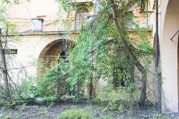 Photo of An abandoned seminary surrounded by vegetation