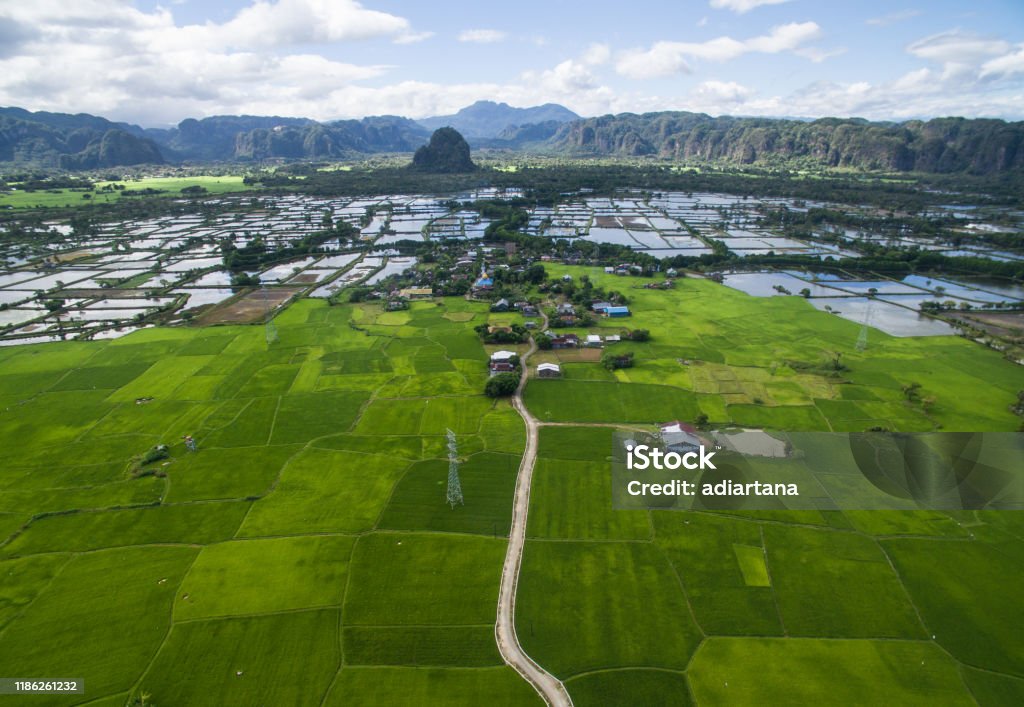 Rice field in the valley of Maros near Rammang rammang in South Sulawesi Indonesia. Rammang Rammang is well known as karst mountain which located in South Sulawesi Indonesia. Aerial View Stock Photo