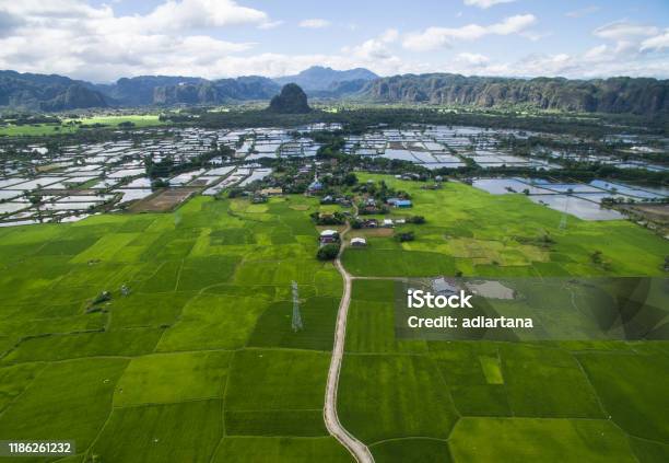 Rice Field In The Valley Of Maros Near Rammang Rammang In South Sulawesi Indonesia Stock Photo - Download Image Now