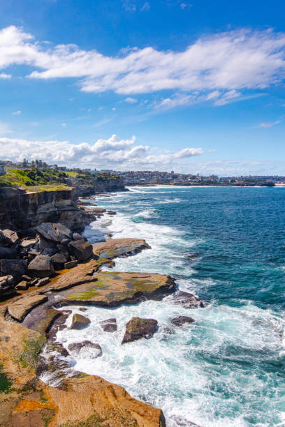 Bondi to Coogee coastwalk close to Gordons Bay in Sydney, Australia Bondi to Coogee coastwalk close to Shark Point and Gordons Bay. Famous hiking path in New South Wales, Sydney, Australia. gordons bay stock pictures, royalty-free photos & images