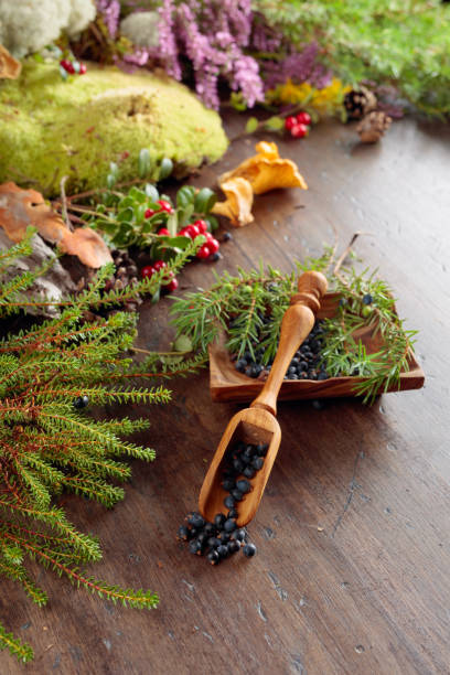 istock Juniper berries on a old wooden background with different Northern plants and berries. 1186271753