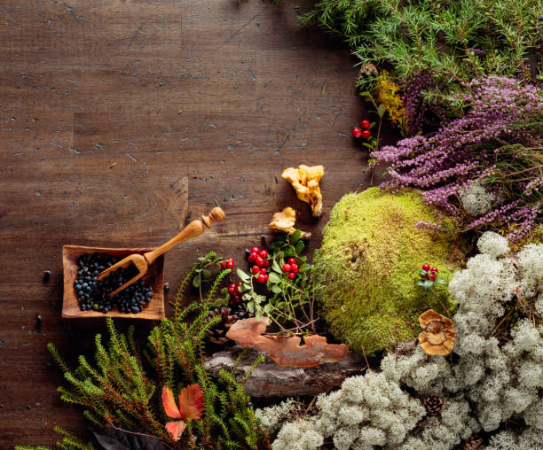 istock Juniper berries on a old wooden background with different Northern plants and berries. 1186271759