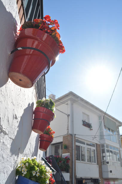 istock Colours pots with flowers in a whitewashed wall a sunny day 1186271777