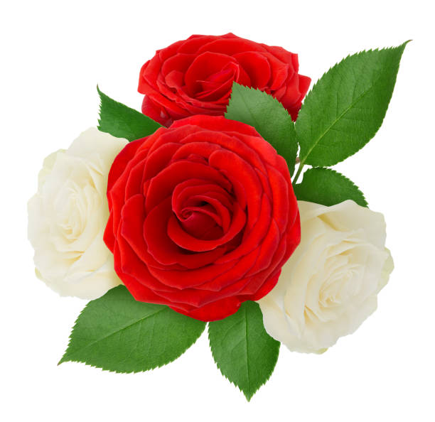 istock Flower arrangement made with roses isolated on a white background with clipping path. 1186272934