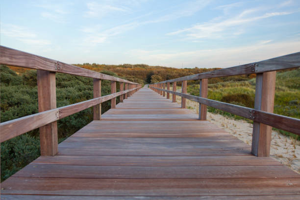 istock Wooden footbridge on a beach in Belgium 1186273942