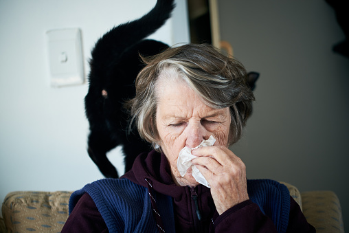 Mujer mayor, gato mascota en el hombro, se sopla la nariz photo