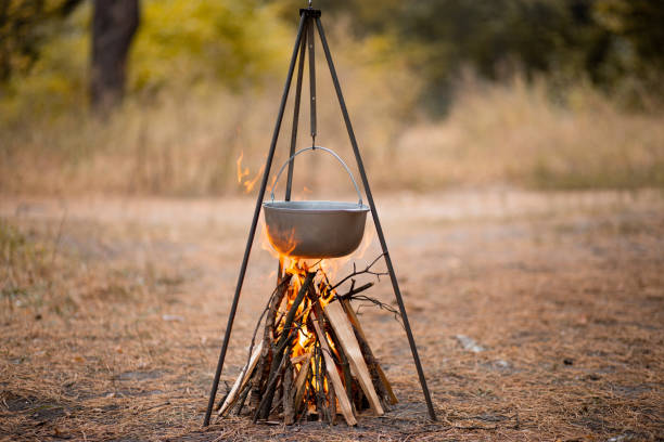 istock Preparing food on campfire in wild camping in autumn forest 1186275809