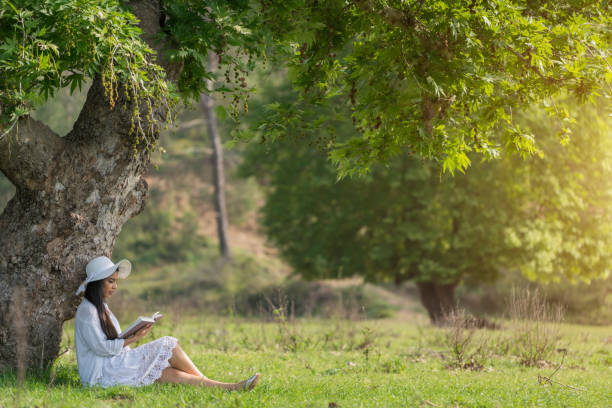istock Portrait young woman reading book under a tree 1186287230