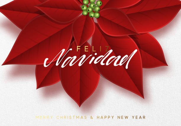 с рождеством христовым, фон украшен красивыми красными бутонами poinsettia цветы. - navidad stock illustrations