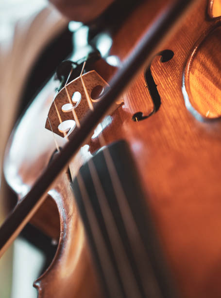 istock Close-up hand woman playing the violin 1186290821