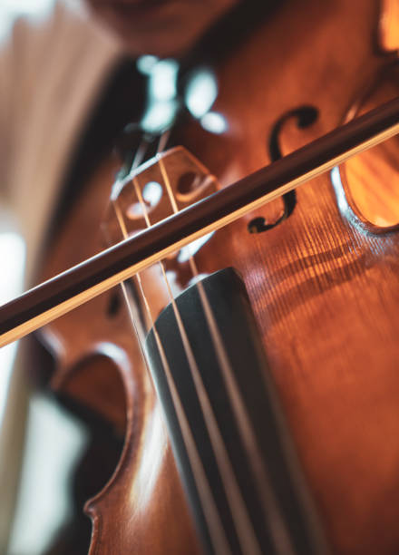 istock Close-up hand woman playing the violin 1186291761