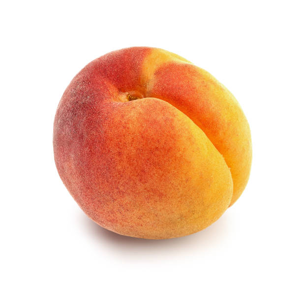 istock fresh ripe juicy bright apricot on a white background 1186292479