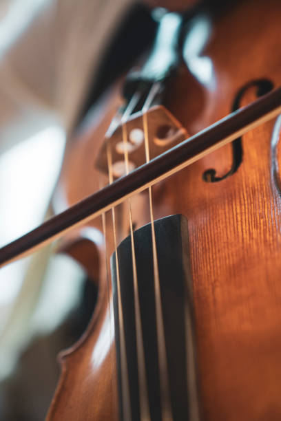 istock Close-up hand woman playing the violin 1186292520