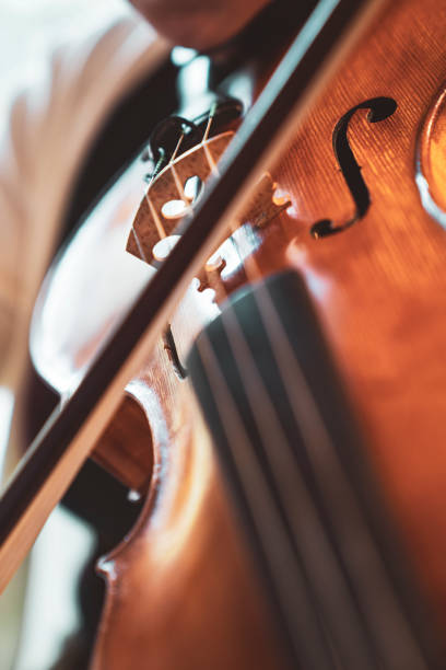 istock Close-up hand woman playing the violin 1186292766