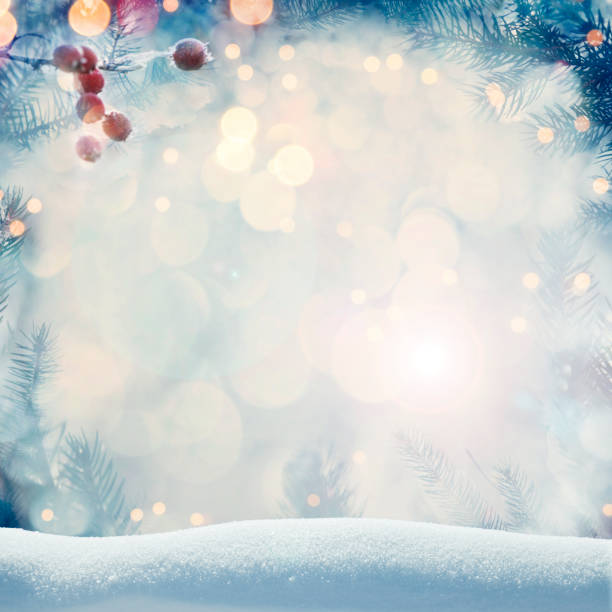 istock Pine tree background for Christmas decoration with snow and defocused lights 1186293079