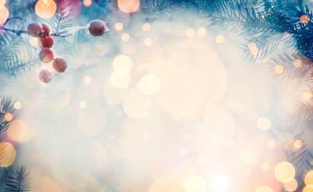 Pine tree background for Christmas Decoration with defocused lights