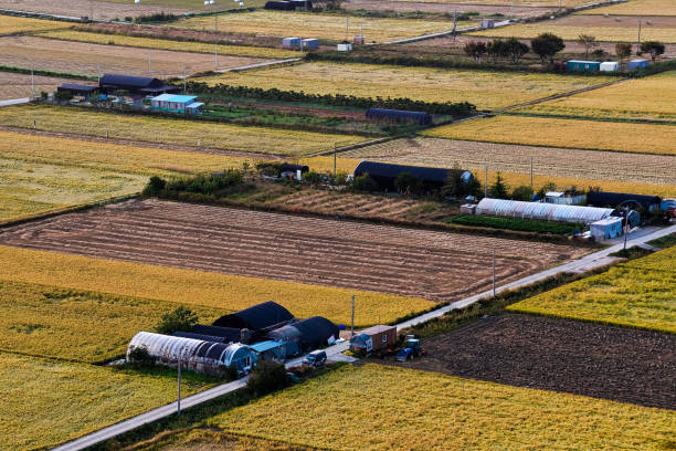 Autumn in the fields