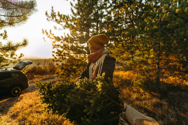 istock Young woman carrying home her Christmas tree 1186301615