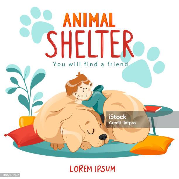 Animal Shelter Design Poster With Child Dog And Decorations Illustration  Showes Animal Adoption Care Homeless Help Flat Style Vector Illustration  Stock Illustration - Download Image Now - iStock