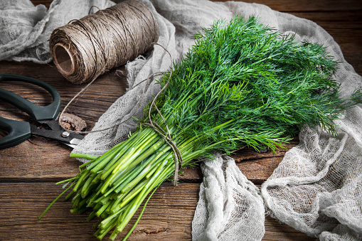 Dill. Fresh garden herbs on wooden table.