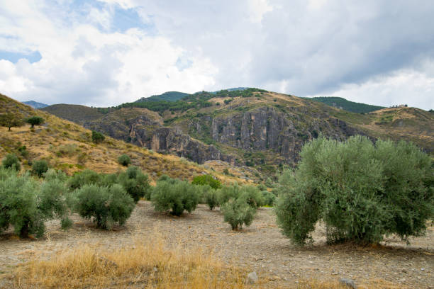 istock Landscape in Sierra Nevada in Spain 1186302977