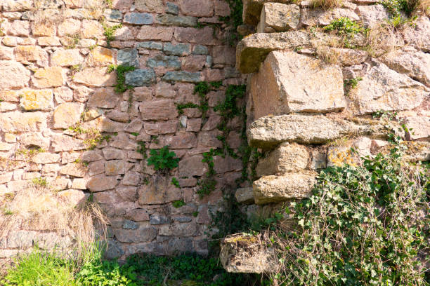 the protrusion on the fortress wall of pink stone. there is a corner made of large stones. there are climbing plants on the wall. semur-en-osua. burgundy. france. background. - corner stone wall brick imagens e fotografias de stock