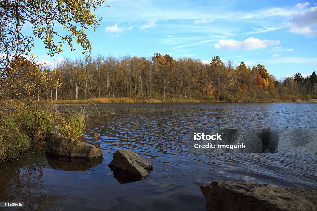 L'automne pond - Photo de Arbre libre de droits