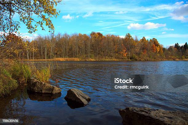 Photo libre de droit de Lautomne Pond banque d'images et plus d'images libres de droit de Arbre - Arbre, Automne, Bleu