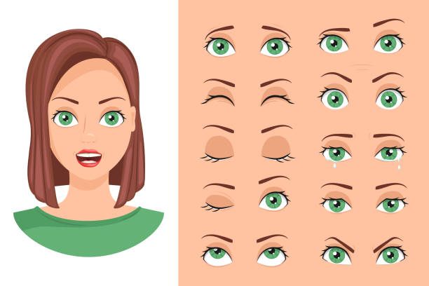 ilustrações de stock, clip art, desenhos animados e ícones de eye expressions - women human face sensuality human eye