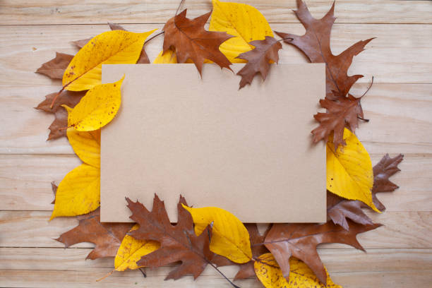 istock Letterhead surrounded by autumn fall leaves 1186315759