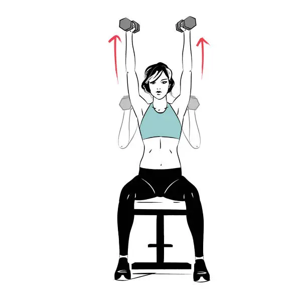 Vector illustration of workout - arms - seated dumbbell shoulder press exercise