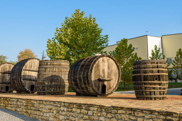 istock Wine barrels in wine-vaults in order. Wine bottle and barrels 1186321587