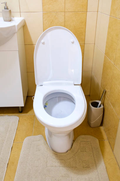 istock Open toilet in a neutral coloured tiled bathroom 1186323345