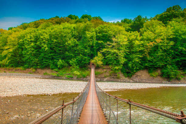 istock Iron suspension bridge. A suspension bridge leads over a mountain river 1186323993