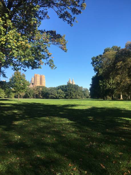 vista da cidade do central park - central park - fotografias e filmes do acervo